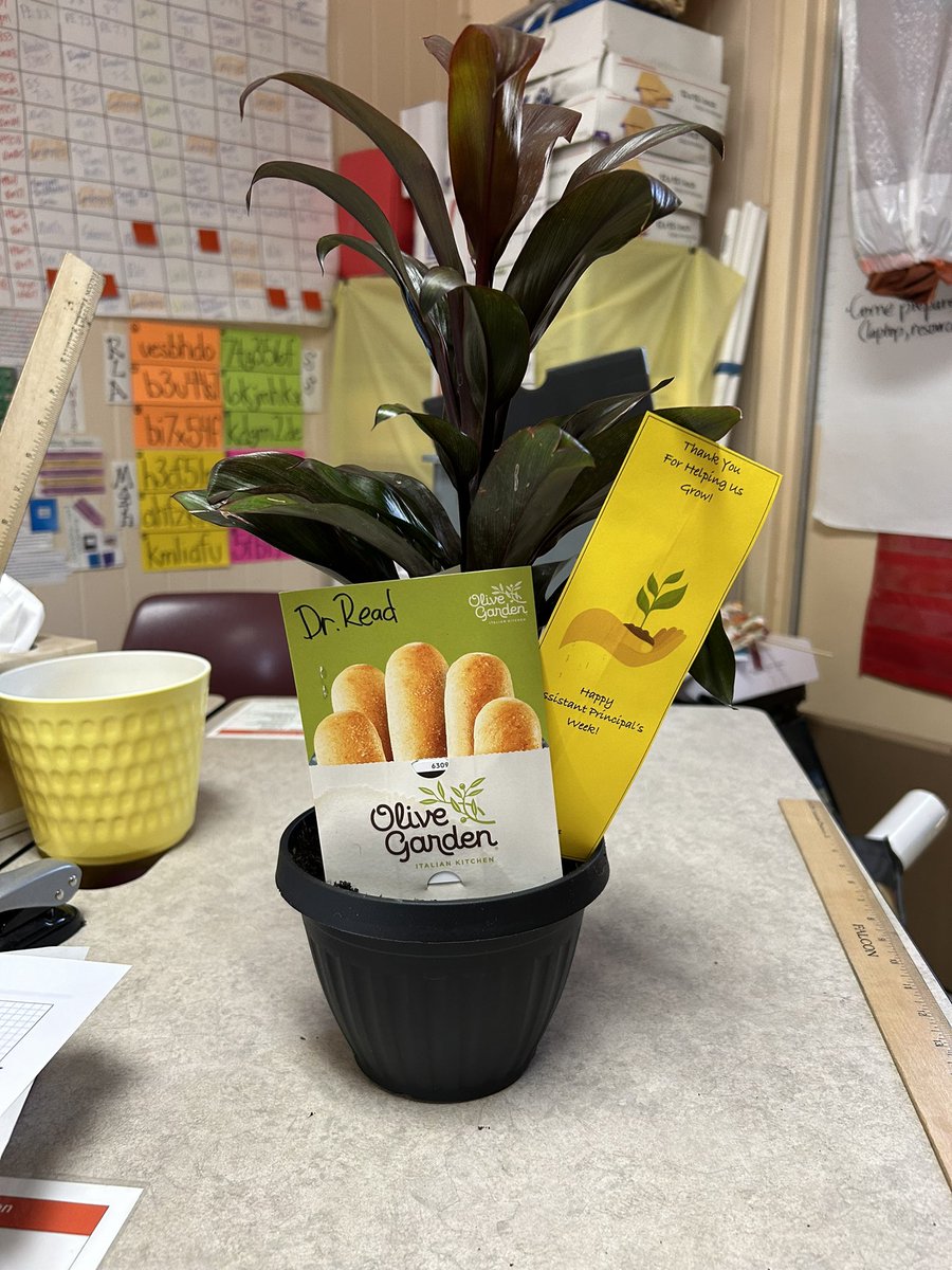cerecerez5's tweet photo. And then there’s us!!
We could not #ThankYou enough for helping us grow!🌱
#HappyAPWeek🫶🏼
#LeadershipMatters🤝🏼
#CCAStrong💪🏼
We❤️our APs! https://t.co/gHu4L4LlMb