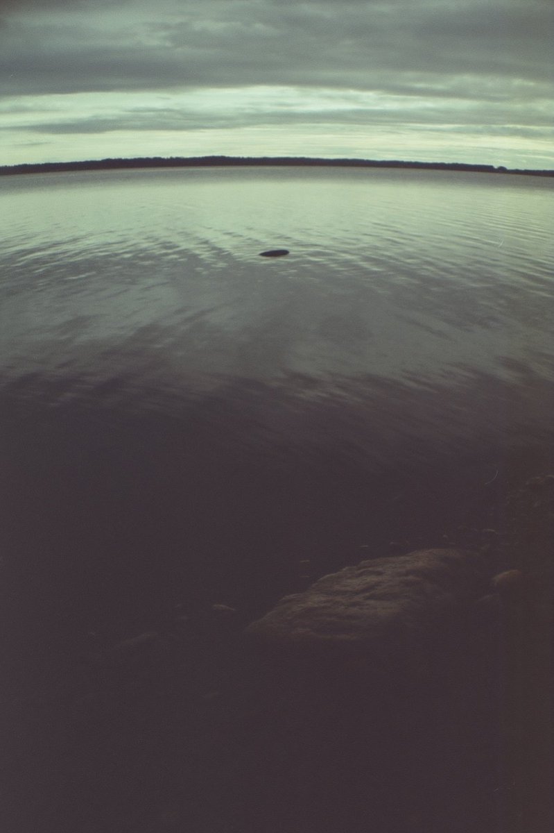 DmitryVedeneev's tweet photo. #film #NaturePhotography #art #photography #lomography #lesardine https://t.co/deK2On5C7T