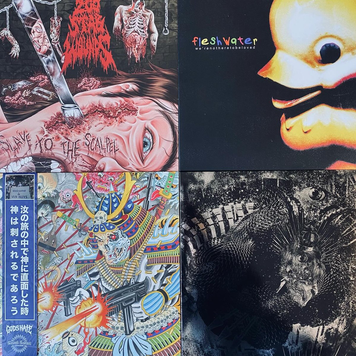 MeteorGem's tweet photo. ✨NEW ARRIVALS FOR THE WEEKEND✨
Big shop update for all formats in the webstore and on the shop floor
We're here FRI-SUN 11AM-7PM
#chicagorecordstore #fulci #maggotstomp #mortalwound #tribalgaze #knockedloose #gorillabiscuits #poisonthewell #200stabwounds https://t.co/0BUeTxYnAa