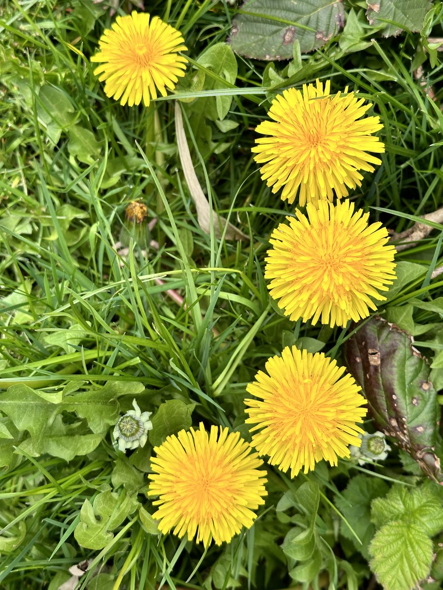Today’s walk: What are these? 🤔 📷 Photo by Erica Anderson