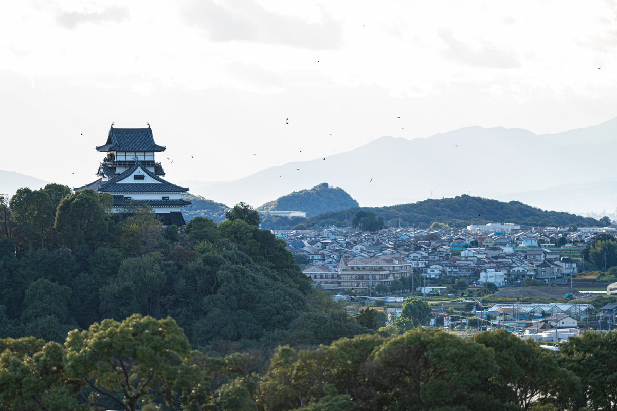 おはようございます。
4月6日は、（公社）日本城郭協会が制定した「城の日」
日本に現存する城で国宝に指定されているのは、姫路城・彦根城・松本城・松江城・犬山城の5つの城になります。
犬山城は愛知県にある小さなお城ですが、天守からの眺めは素晴らしいです😀