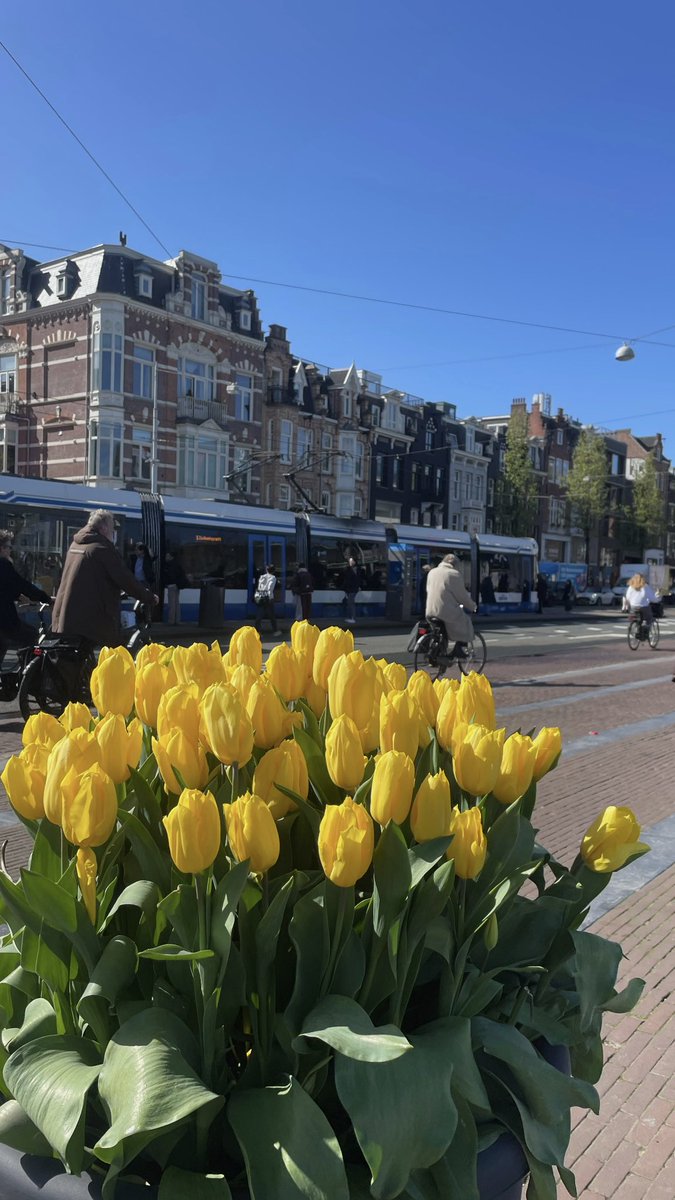 Amsterdam 💐