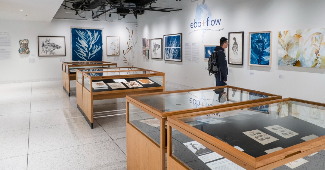 Good news! Ebb and Flow: Giant Kelp Forests through Art, Science and the Archives has been extended through 7/7 in the Exhibition Gallery at Geisel Library. The items in The Nest, however, will only be on view through 4/21 as originally scheduled. More: bit.ly/3vKvrH1.