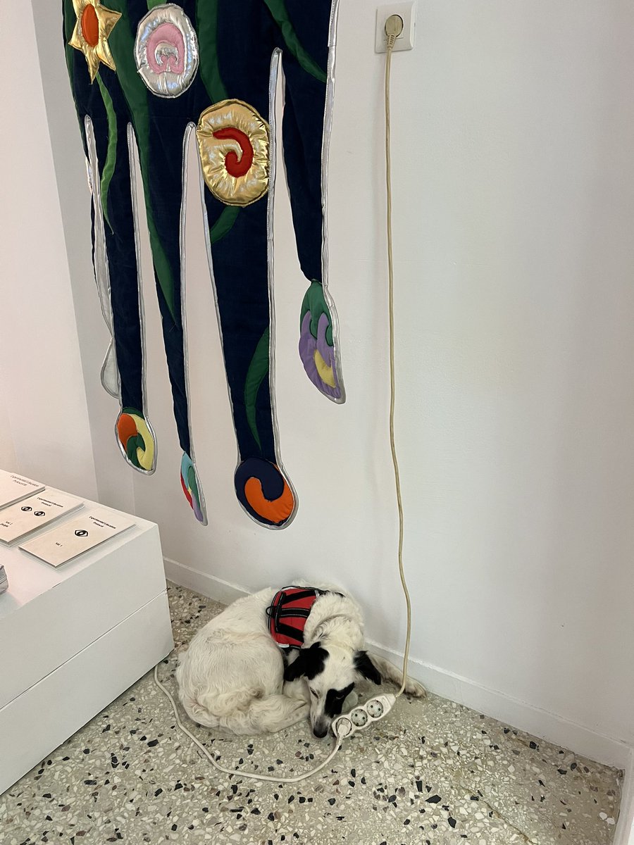 P.E.T. Projects are 5 years old today! Happy birthday 🎊🎂🎁🎈🎉