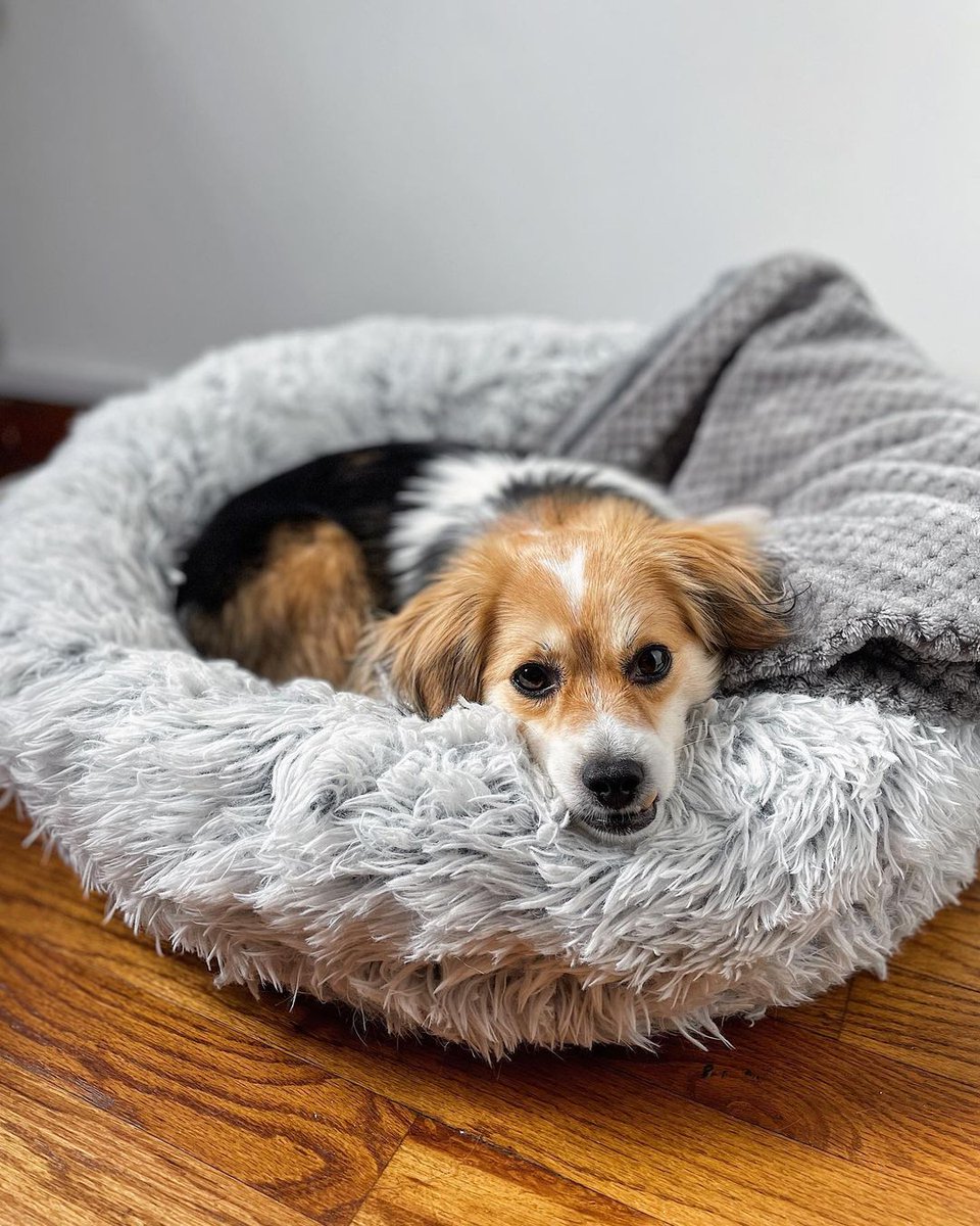 Best Friends by Sheri tweet media