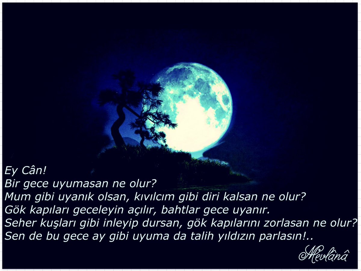 Katta kokrakli xola fotosurati