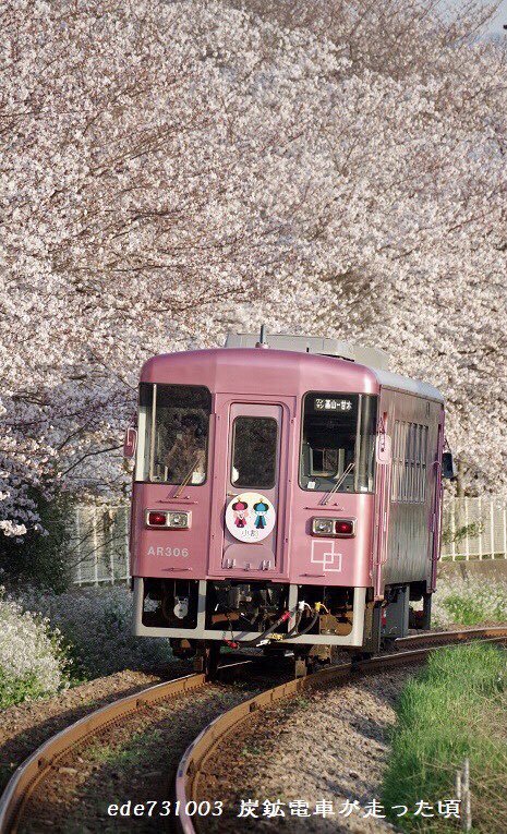 eTGlKbIxsfr4nQ6's tweet photo. 🌸満開のさくら2
甘木鉄道　2024/4/1
#甘木鉄道
#甘木鉄道立野駅
#ar306 
#さくら
#桜
#サンポー食品
#基山町 https://t.co/cOHyGxhnT2