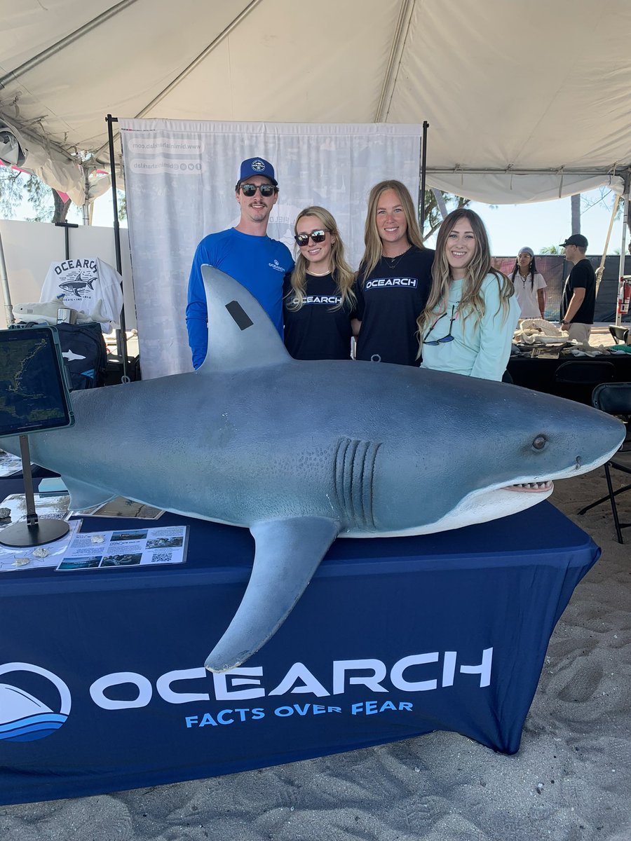 A weekend full of music and fun to support our oceans! Visit us in the Conservation Village at Tortuga Music Festival this weekend. 🦈 Rock The Ocean #RockTheOcean #Tortuga #tortugamusicfestival