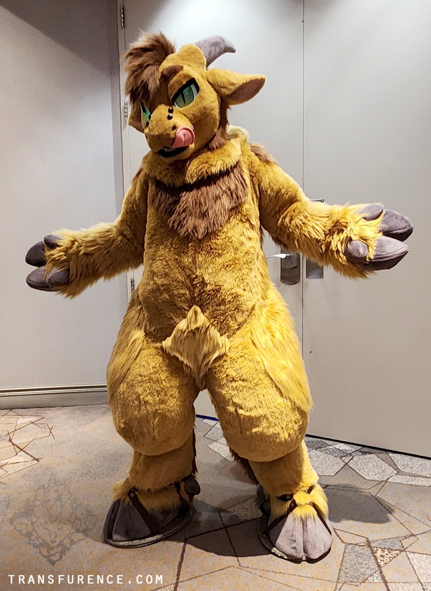 Transfurence / Théa tweet media