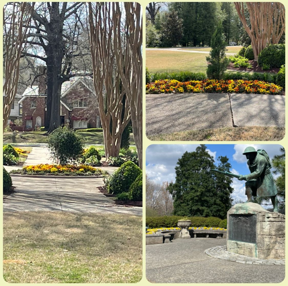 echo_landscape's tweet photo. Headed to Overton Park this weekend? Color change happens soon! Don’t miss out 😉
@echo_landscape
@overtonpark https://t.co/e2v232XVJB