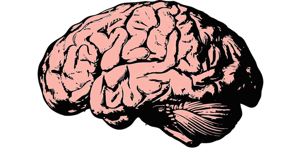 Increased brain size may lead to an increased “reserve” against diseases of aging. ms.spr.ly/6013cQQ7t