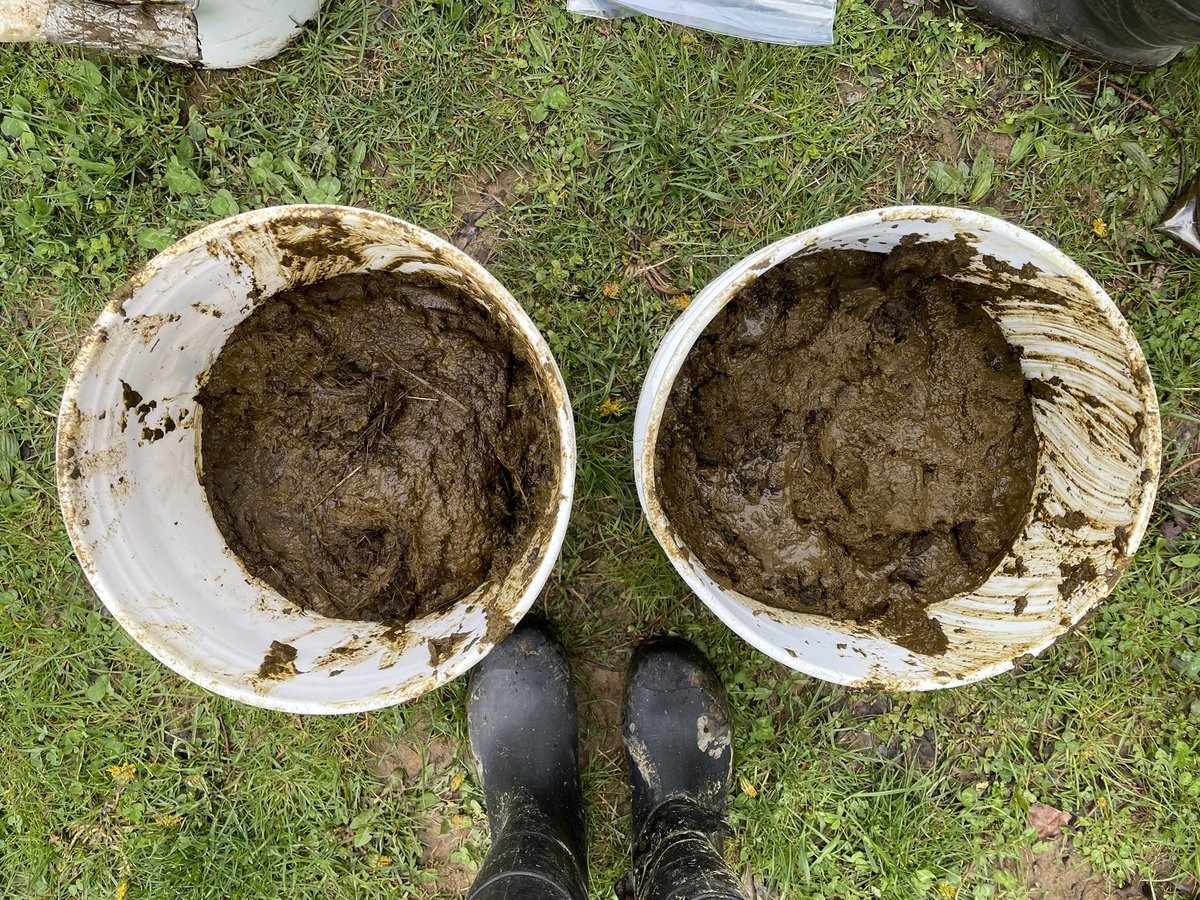 Armin Moczek tweet media