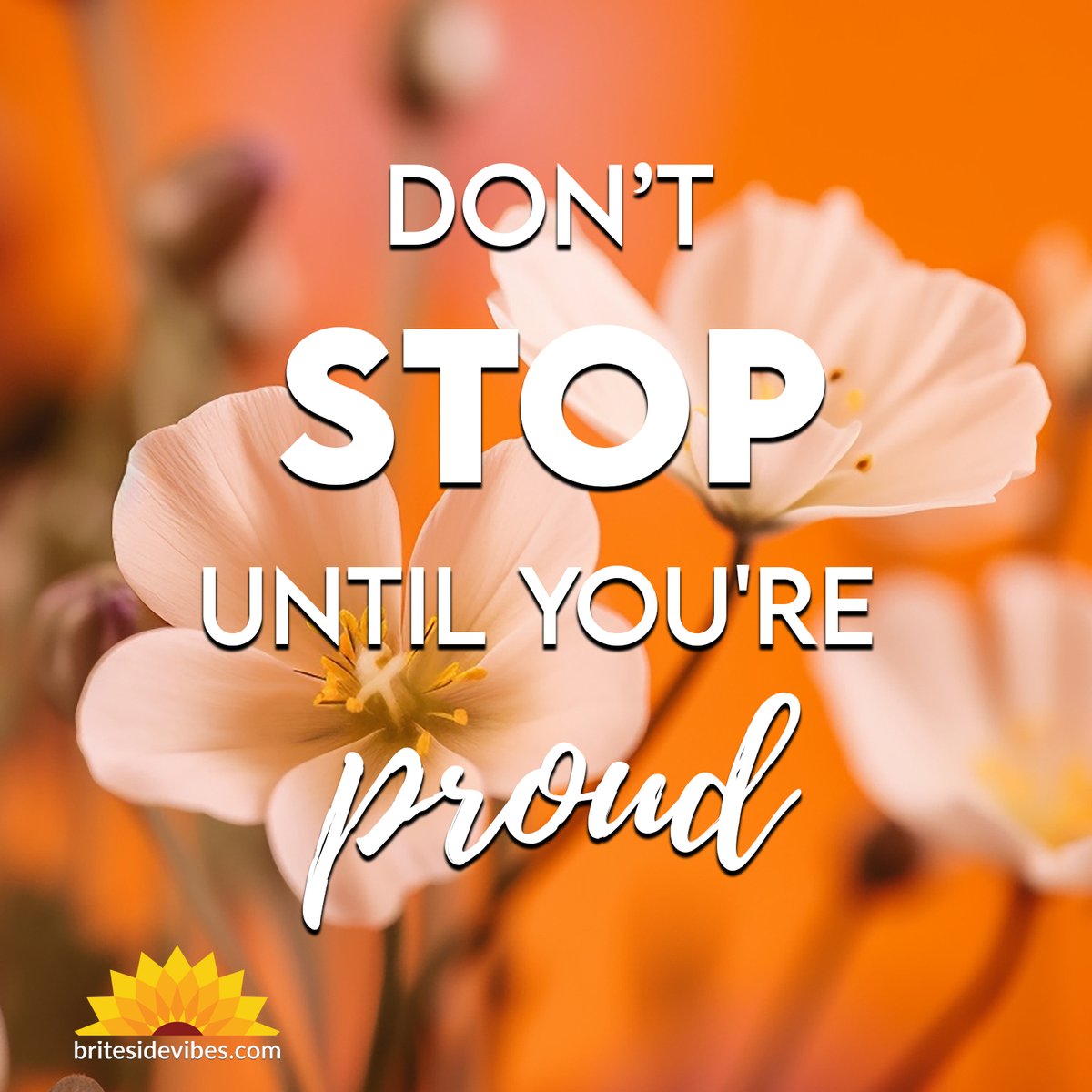 Don't stop until you're proud. 😀

britesidevibes.com

#britesidevibes #quotesaboutlife #inspirationalquote #motivationalquote #positivewords #positiveattitude #goodvibesonly