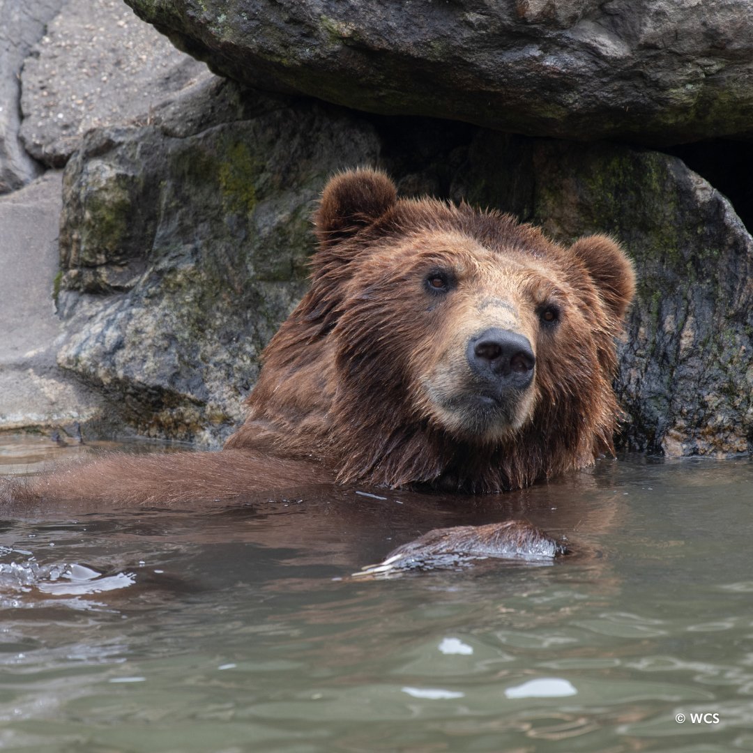 TGIF! The zoo wishes you a restful and restorative weekend.