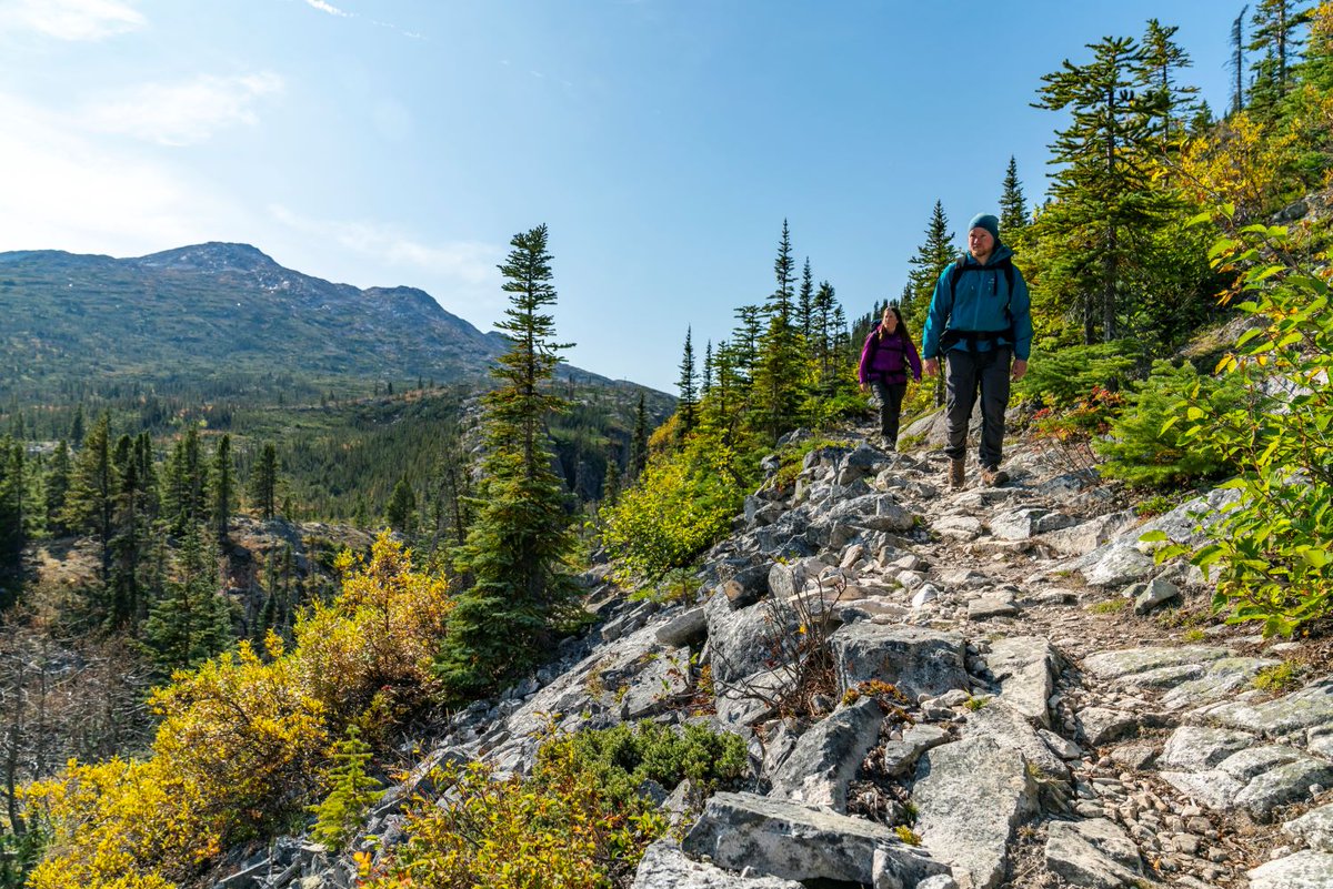 Planning to hike the Chilkoot Trail this summer? The reservation line is now open to reserve hiking trips for summer 2024. To make your reservation: parks.canada.ca/lhn-nhs/yt/chi…