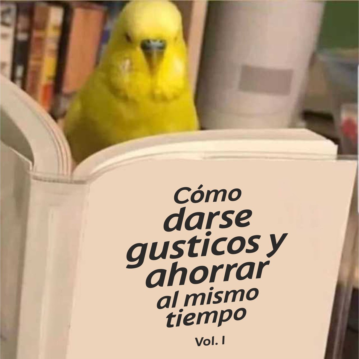 ¿Se ahorra o se disfruta? 🤔 Puedes lograr ambas en la medida que tengas el enfoque correcto. 😌 Crea bolsillos dentro de nuestra app para separar tu plata por categorías, guarda para las saliditas del mes y también para ahorrar por esa meta que deseas alcanzar. ʘ˧