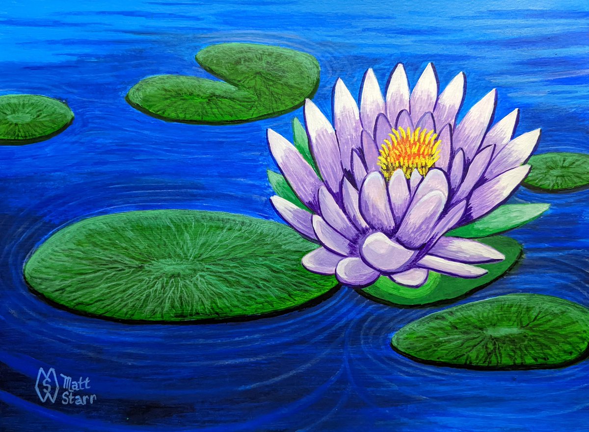 This is my acrylic painting of some water lilies and a flower in calm waters with a slight ripple. redbubble.com/shop/ap/965097…
#mattstarrfineart #artistic #paintings #artforsale #artist #gift #giftideas #tshirts #homedecor #art #waterlily #lily #lilies #flower #flowers #pond #lake