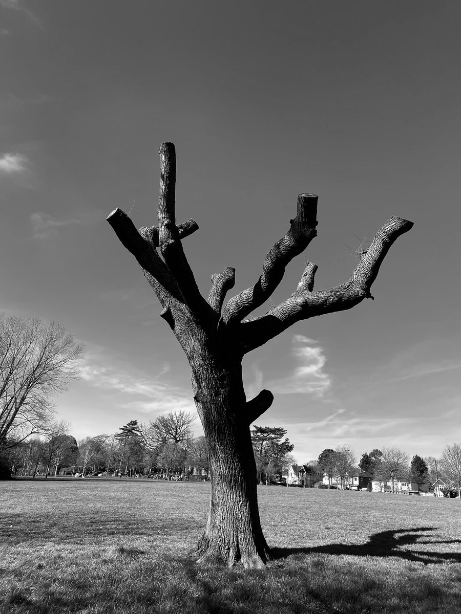 📍Harborne Park, Birmingham
‘23
#SSArchives