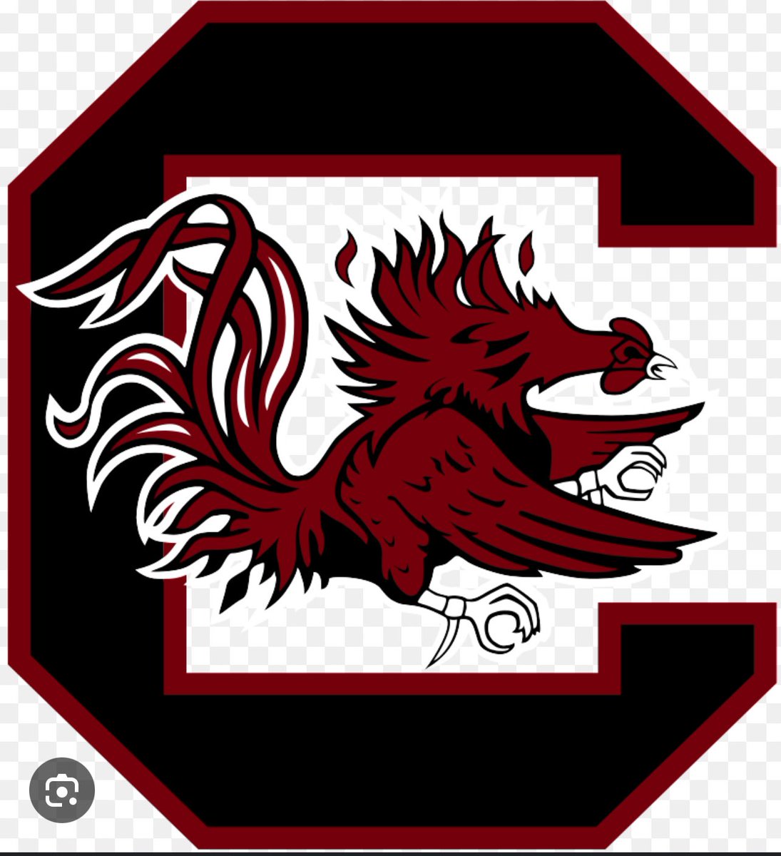 Excited for the opportunity to visit with South Carolina Gamecocks Football team on tomorrow!!!@GamecockFB