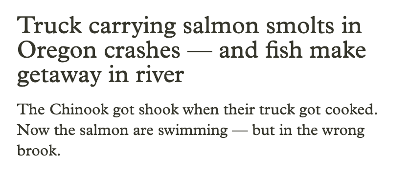 best headline description ... ever? i love local news (kudos to @OPB for this ringer i'll be thinking of all weekend)