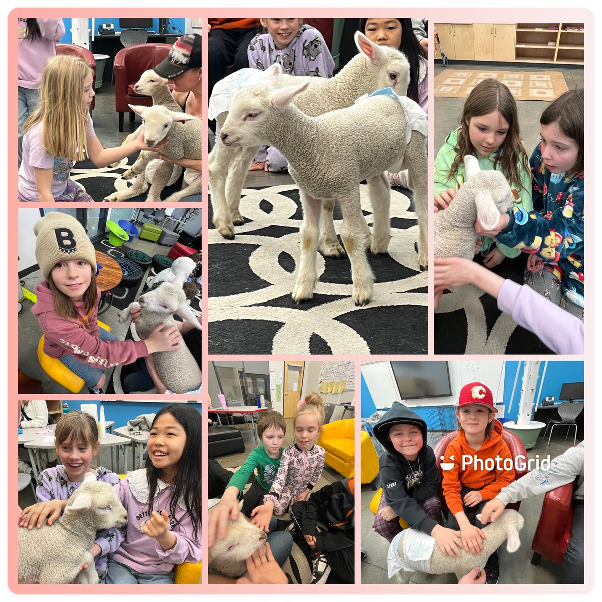 Highlight of the week! Break A Rule Day was extra special this year thanks to these two little charmers. <a href="/IRIC_WC/">IRIC</a>