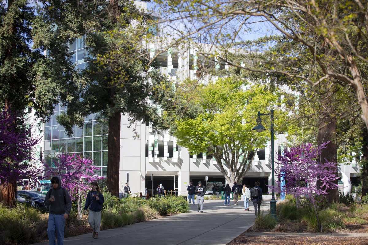 Embracing campus beauty, where collective wisdom and support converge. Like Hornets, we excel together in unity. 🐝✨ #wayofthehornet 📸 Andrea Price & Bibiana Ortiz