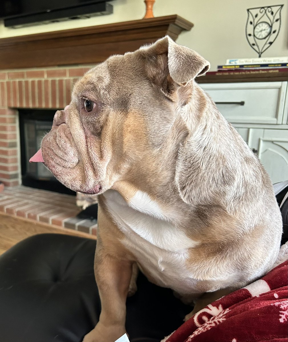 Bubba is the best dog ever!!