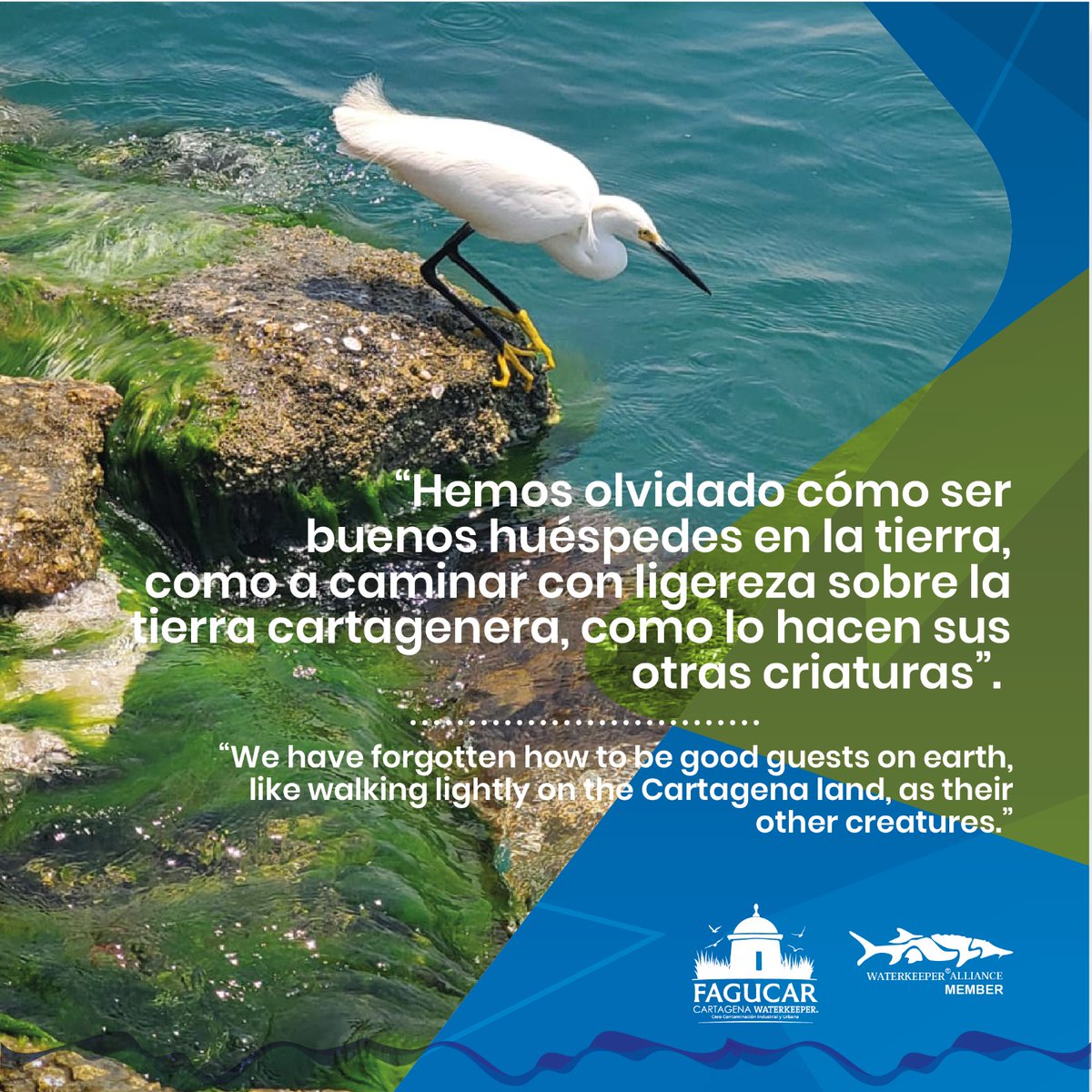 Fundación Fagucar y/o Cartagena Waterkeeper tweet media