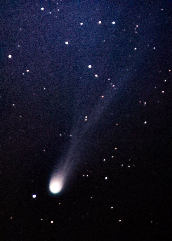 nickolaswolf tweet media