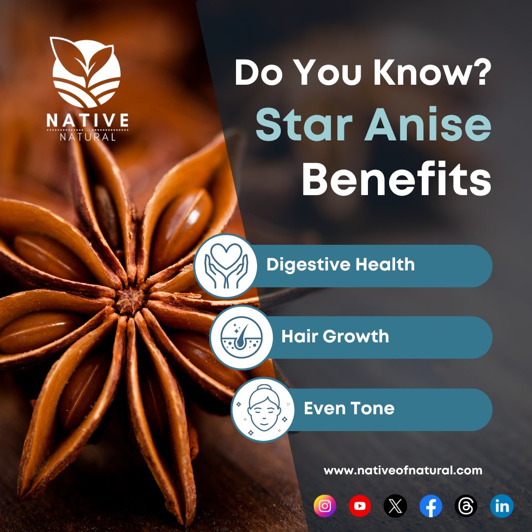Do you know? Star Anise and its Benefits.
Native of Natural Pure and Natural Star Anise.
Contact us at info@nativeofnatural.com
#spicesboard #natural #pure #nativeofnatural #spices #masala #indianspices