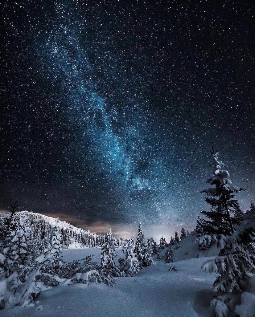 Winter nights, Norway ✨