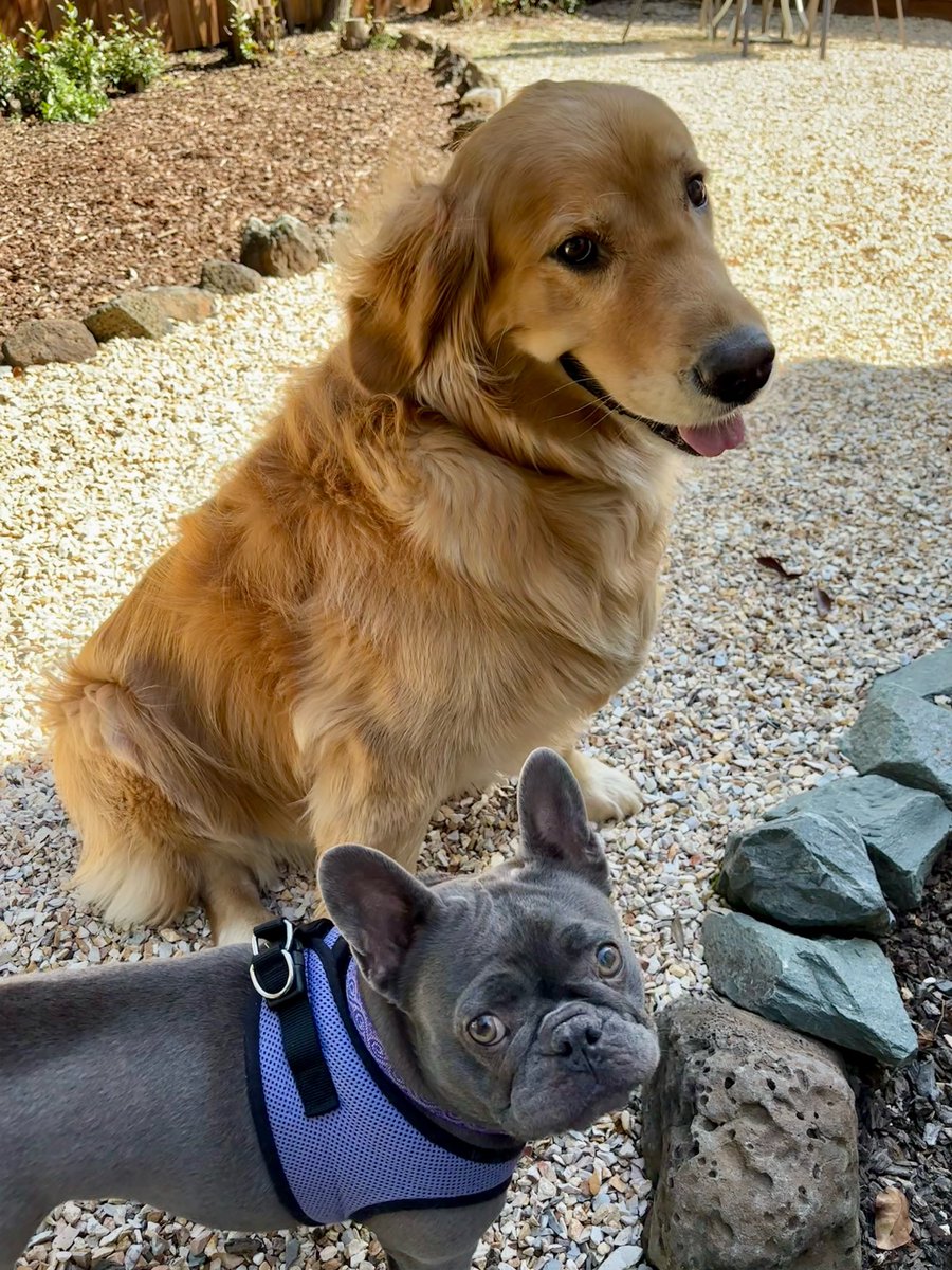 mack_spike's tweet photo. Every Pete Davidson relationship: https://t.co/JXtm4LOheH