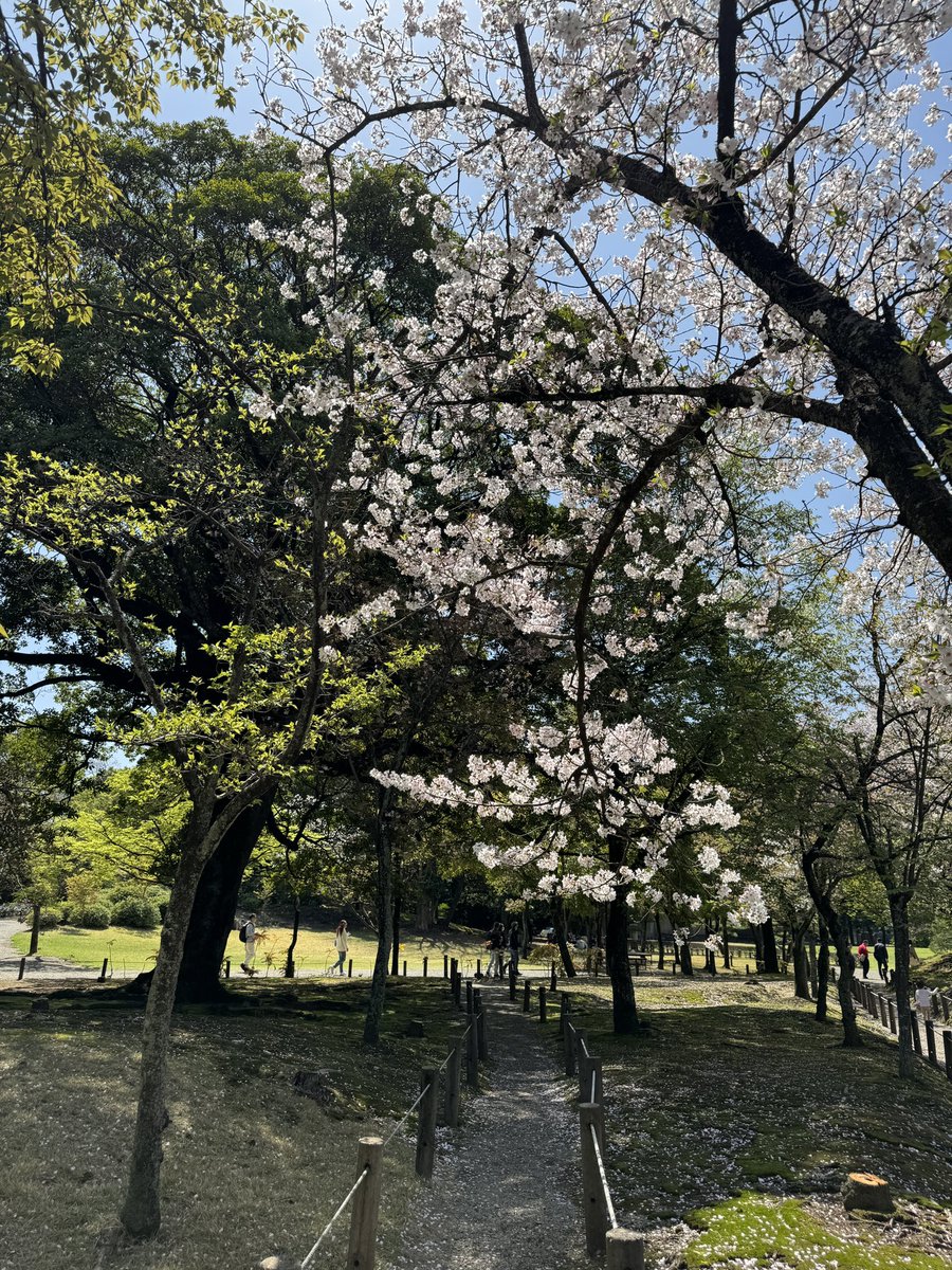 ErvinHan's tweet photo. Last week at Suizijen Jojuen Garden, Kumamoto. #Kyushu https://t.co/p8nt4Z2Rkn