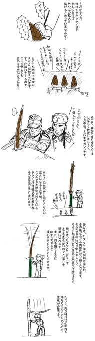 そうか、これを貼る季節か。
竹藪対策の一例です。 