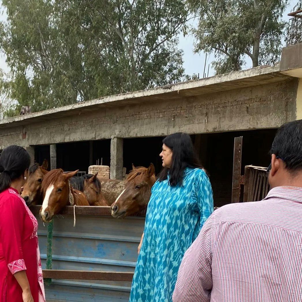 Compassion in action with @manekagandhibjp. Her passion for #sanjaygandhianimalcarecentre is intoxicating. #manekagandhi #animalhospital #animalrescue #charity #charitablehospital #delhi #helpinganimals #animallovers #animalsanctuary