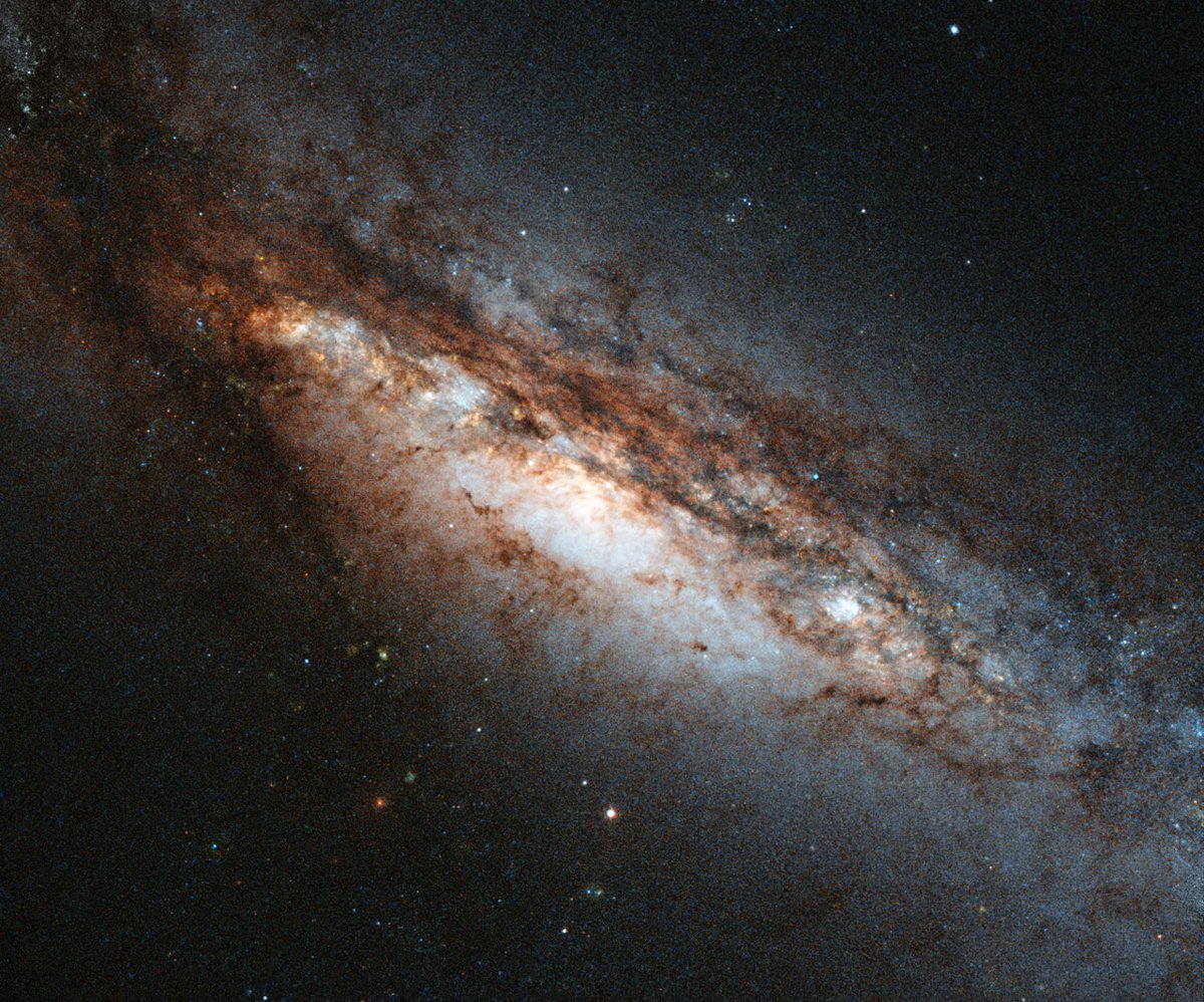 Day 447 - Galaxy NGC 660

📷Hubble
#Space #Astronomy #Hubble