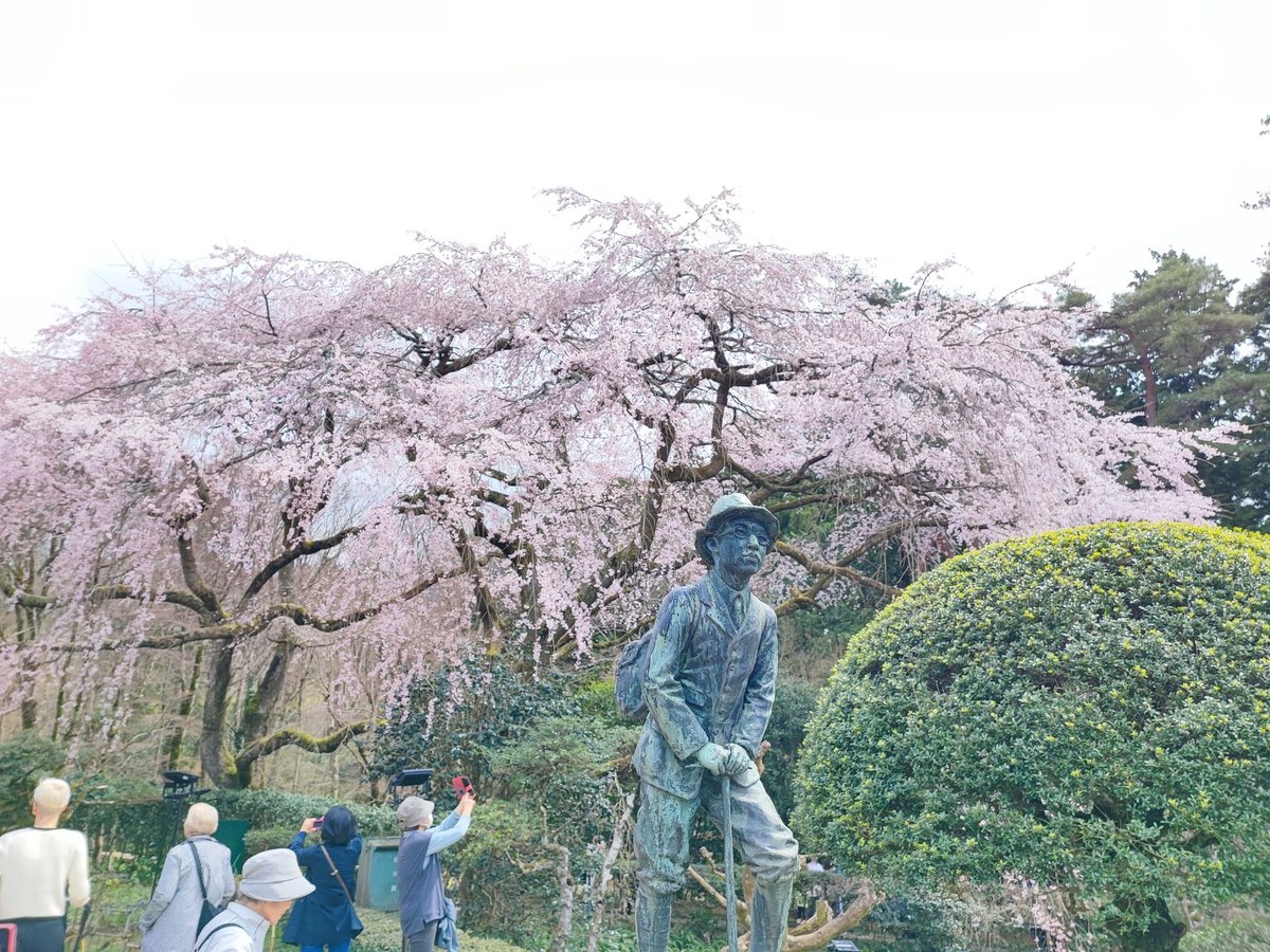 kanemie2's tweet photo. 秩父宮記念公園、桜まつり https://t.co/RhVbUldec1