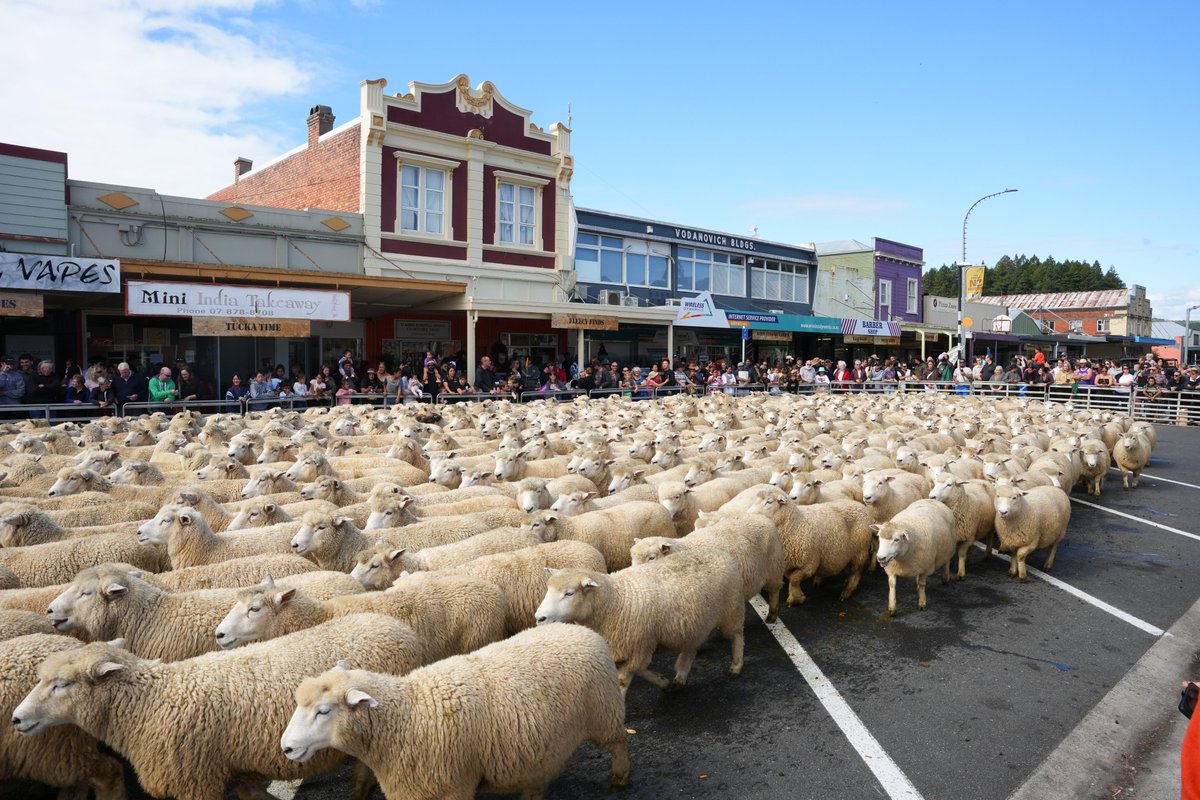 Fantastic to be at the Great New Zealand Muster in Te Kuiti - a great rural town. Our Government backs rural like we back the All Blacks. We’re cutting red tape and have axed the ute tax which is helping rural folk big time!