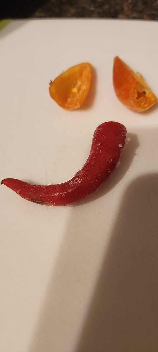 I grabbed some garden peppers out of the freezer tonight. I know for a fact that red one is spicy AF...well for me anyway, some people are crazy.