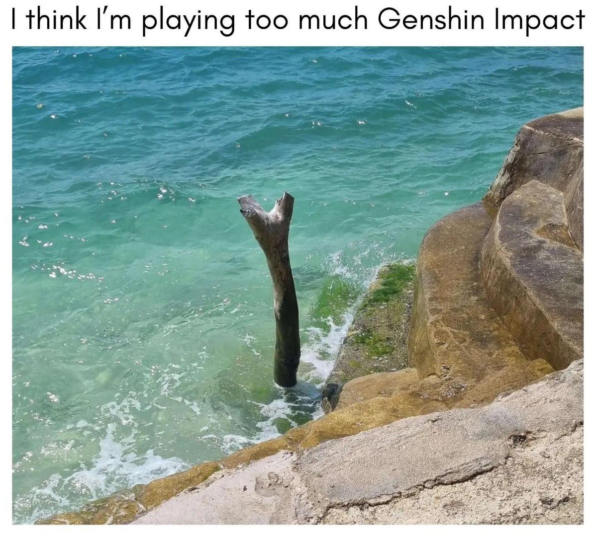 Genshin Impact Memes (@GenshinImpactOC) on Twitter photo 2024-04-06 03:46:36