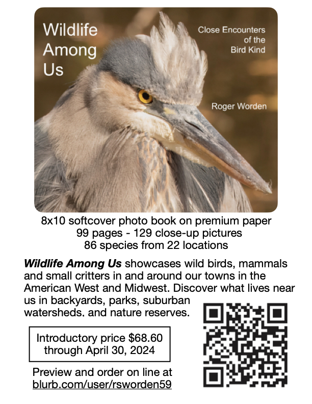 RogerSoars's tweet photo. My new photo book Wildlife Among Us showcases wild birds, mammals and small critters in our backyards, parks, suburban watersheds, and nature reserves.
Order on line https://t.co/o24cw42TNG… at my cost thru April 30.
My blog: https://t.co/eJkwjInEK3 https://t.co/Uxa30rhYVw