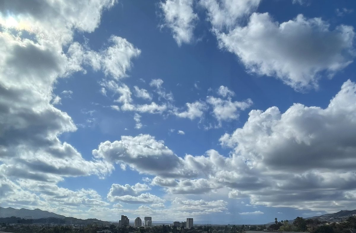 Very busy day at work, but lots of good stuff. Took a moment to look out the window for some respite. Now gotta get back at it. #HappyFriday all 🌞