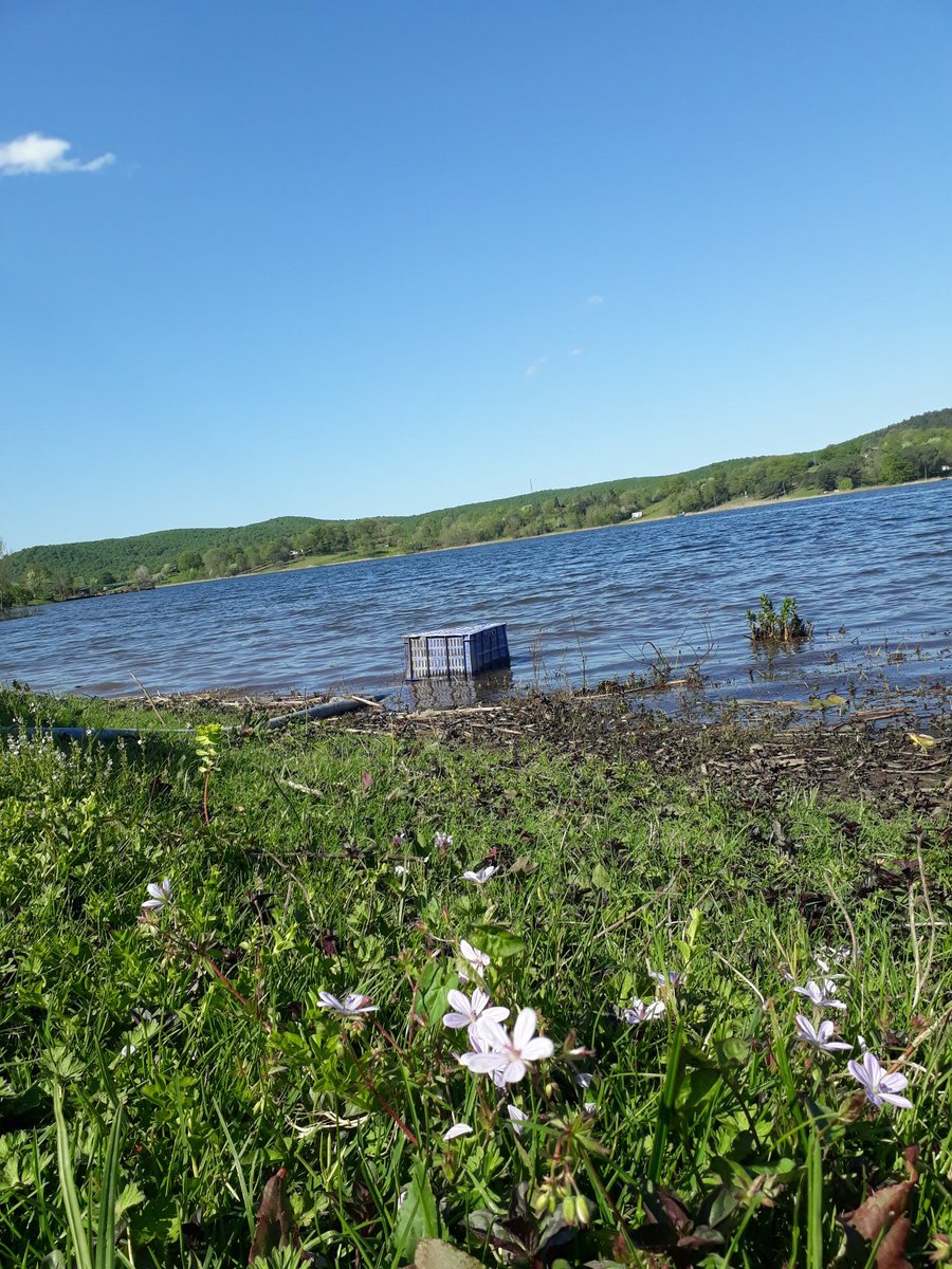 Yürüyor muyduk,
Yoksa bir doğa parçasının
Altını mi çizdiriyorlar bize? 
#cemalsüreya