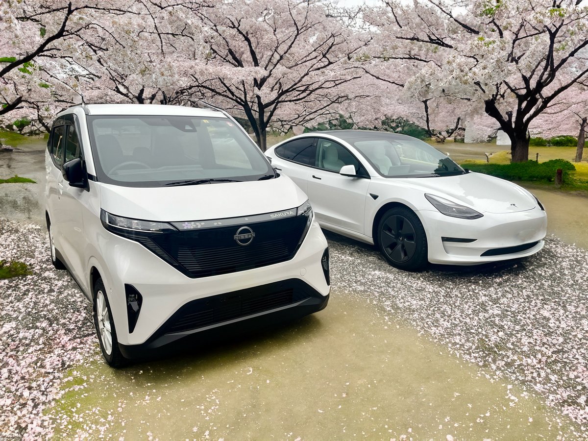 Satoshi_Model3's tweet photo. TeslaとSakura
#AdobeSensei https://t.co/o0fR8CtoVT