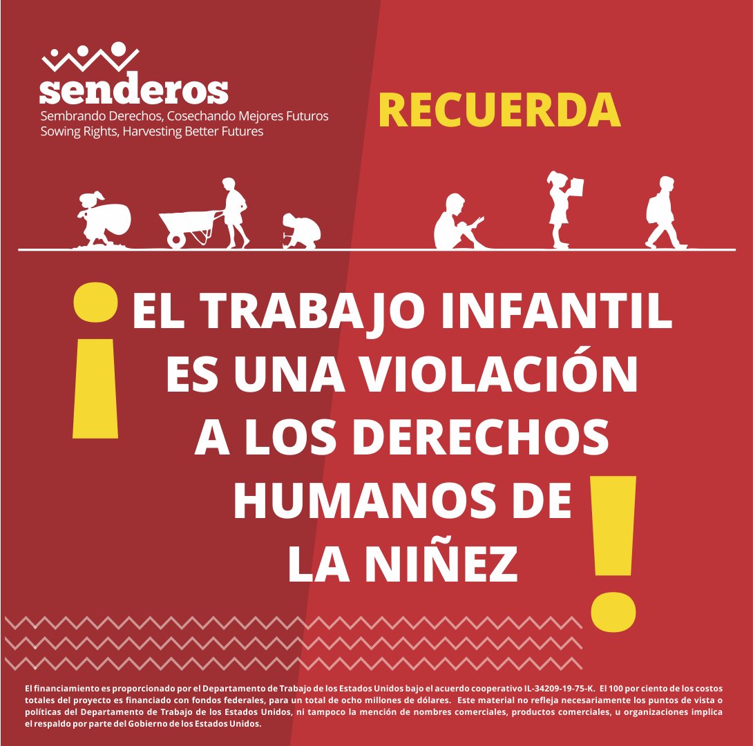 Respetemos los derechos de las niñas y los niños.
Digamos NO al #TrabajoInfantil
verite.org/senderos/
#SembrandoDerechos