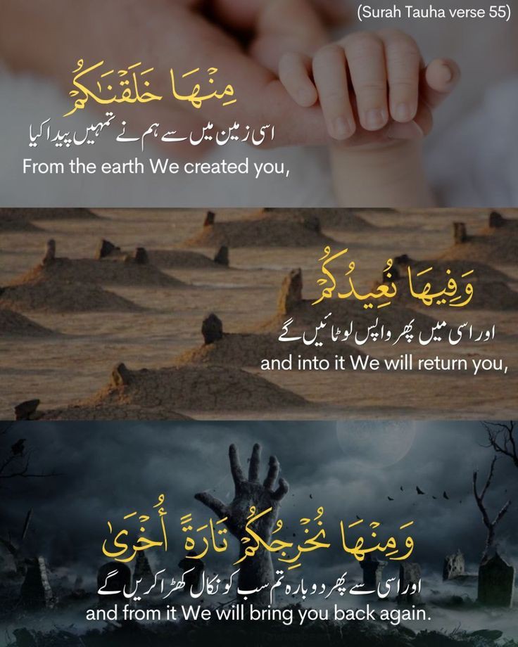 Aslam O alikum ALL frinds