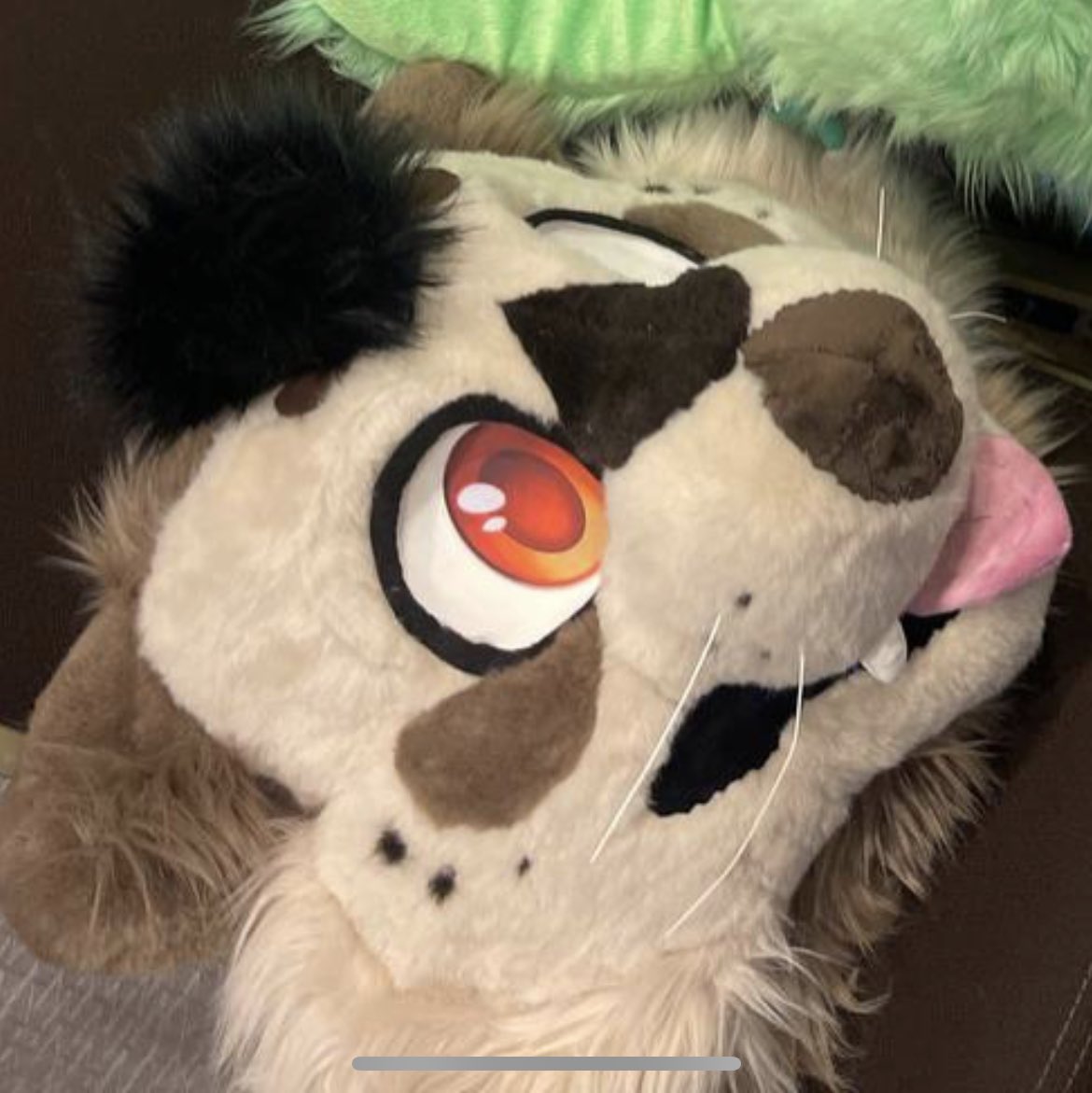 Otto was stole at #goldenstatefurcon #gsfc if anyone sees him please let me know