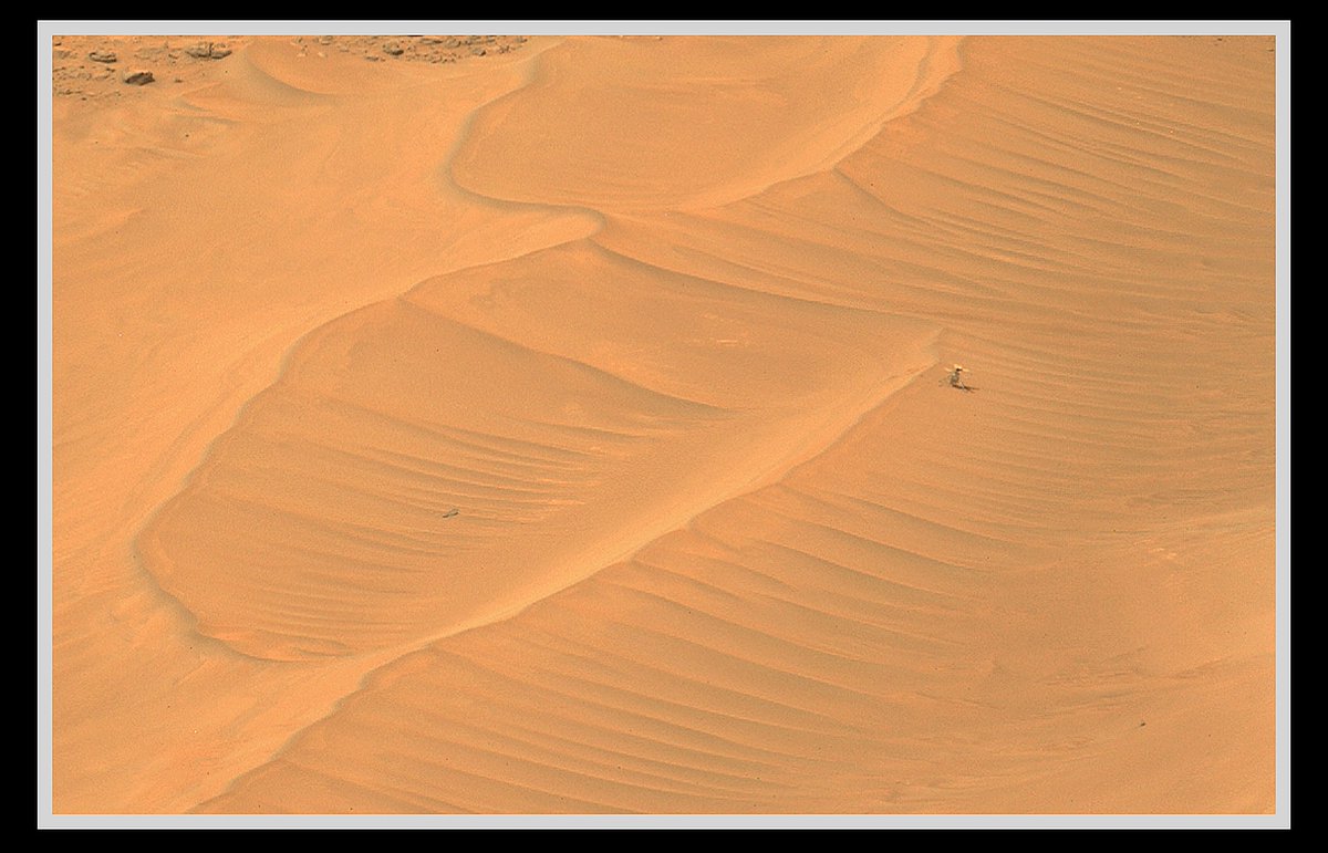 As @NASAPersevere prepares to drive away, a new portrait of Ingenuity, now at rest in a martian dune field after her amazingly successful mission... Original Sol 1110 images credit: NASA/JPL-Caltech/ASU, Additional processing: S Atkinson