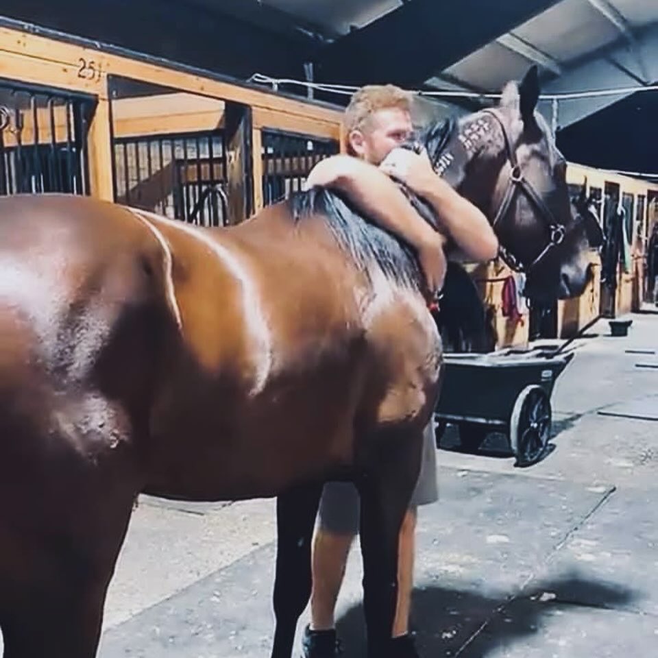 vipstable's tweet image. 15YO Marty Monkhouser A, a true warhorse, is happy to be home as he gave @PaulicVictoria her first ever driving win at @TheMeadowlands tonight in the Amateurs in 1:53.1. 

“We promised to bring him home one day. Now, he’s home for good.” - Stratton

Thank you to the partners.