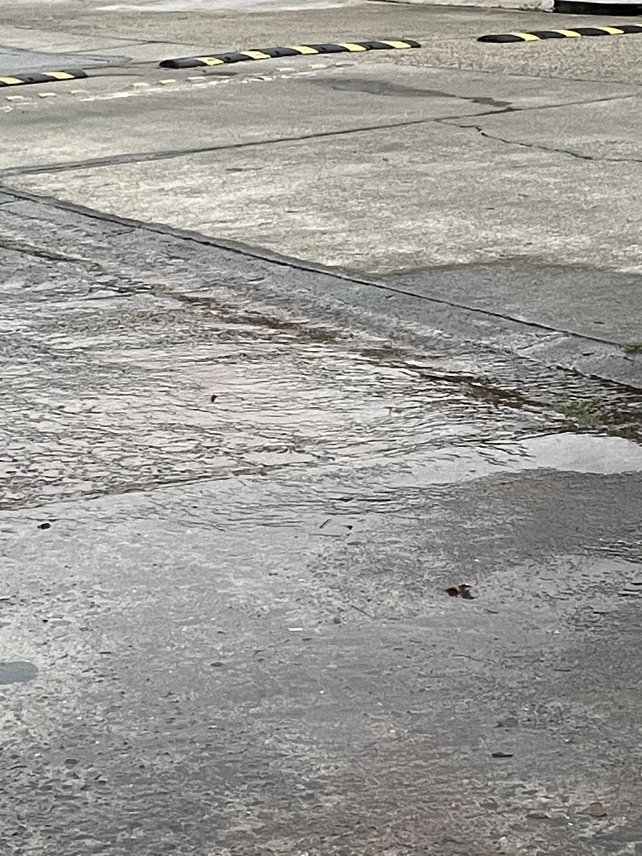 KareliaXe's tweet photo. @IDAANinforma @BrisasdelGolf @vecinosdebrisas fuga de agua en el parque de sóftbol de mesetas https://t.co/a0SWRHgRgc